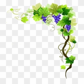 Grape Vine Border Png, Transparent Png - vine png