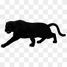 Silhouette Of A Panther, HD Png Download - black panther png