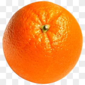 Orange, HD Png Download - orange png
