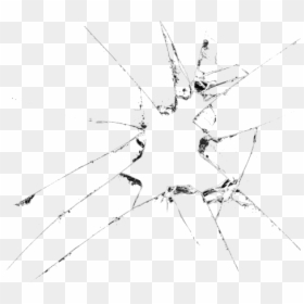 Transparent Broken Glass Png, Png Download - bullet hole png