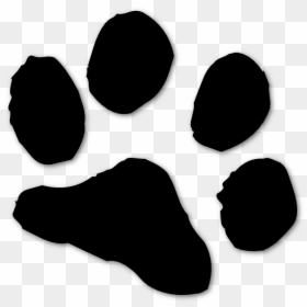 Puppy Paws Png, Transparent Png - paw print png