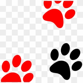 Colorful Paw Print Png, Transparent Png - paw print png