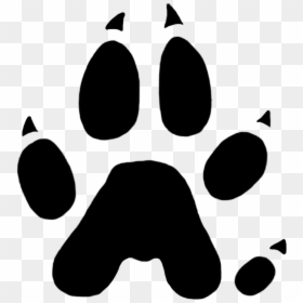 Paw Print Png, Transparent Png - paw print png