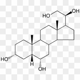 Acide Biliaires, HD Png Download - ho oh png