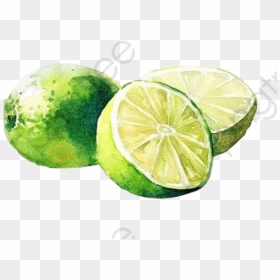 Lemon Painting Watercolour, HD Png Download - hand drawn border png
