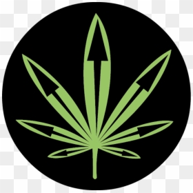 Circle, HD Png Download - pot leaf transparent png