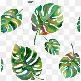 Watercolour Palm Leaves, HD Png Download - tropical island png