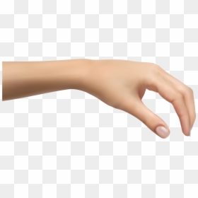 Human Hand, HD Png Download - wrist png