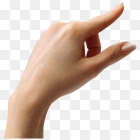 Sign Language, HD Png Download - wrist png