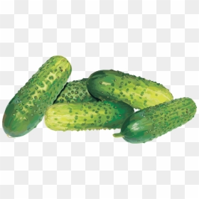 Cucumber, HD Png Download - cucumbers png