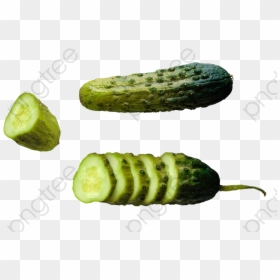 Picles E Pepino É A Mesma Coisa, HD Png Download - cucumbers png