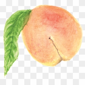 Apricot, HD Png Download - pixel food png