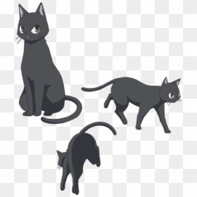Flying Witch Anime Cat, HD Png Download - flying witch png