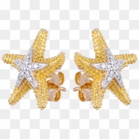 Earrings, HD Png Download - gold jewelry png