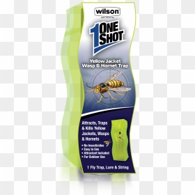 Wilson 1 Shot Jet Wasp & Hornet Foam Spray 450 , Png - Hornet, Transparent Png - wasp png