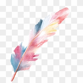 Pluma Png Page - Colorful Transparent Feather Png, Png Download - pluma png