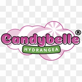 Image Of Hydrangea Arborescens Candybelle® Bubblegum, HD Png Download - bubblegum png