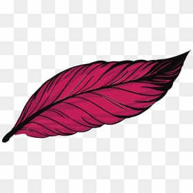 Thumb Image - Pink Feather Clipart, HD Png Download - pluma png