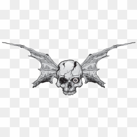 Pair Of Wings Bat Skull - Skull, HD Png Download - bat wings png