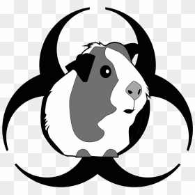 Attack Of The Peruvian Guinea Pig Death Flu , Png Download - Guinea Pig Black And White Clipart, Transparent Png - guinea pig png
