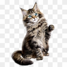 Persian Cat Clipart Gato - Maine Coon Clip Art, HD Png Download - gato png