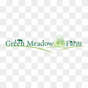 Green Meadow Farm, HD Png Download - meadow png