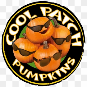 Coolpatchpumpkins Cool Pumpkins - Cool, HD Png Download - pumpkin patch png