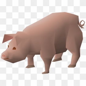 Pig Png, Transparent Png - hog png