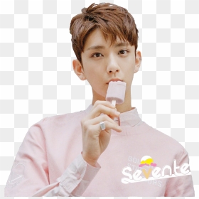 Transparent Wonwoo Png - Seventeen Very Nice Joshua, Png Download - seventeen png