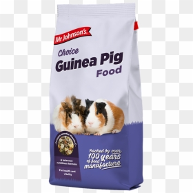Guinea Pig, HD Png Download - guinea pig png