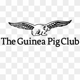 Falconiformes, HD Png Download - guinea pig png