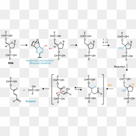 Dna Damage Mechanism - Mechanism Of Dna Damage, HD Png Download - damage png