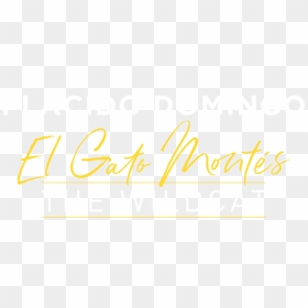 El Gato Montes - Calligraphy, HD Png Download - gato png