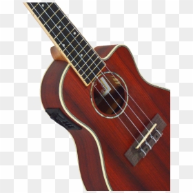 # - Acoustic Guitar, HD Png Download - modelo png