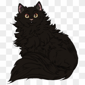Black Cat, HD Png Download - gato png