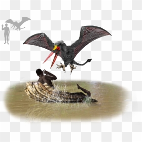 Legend Of Kongamato, Zambia - Portable Network Graphics, HD Png Download - bat wings png