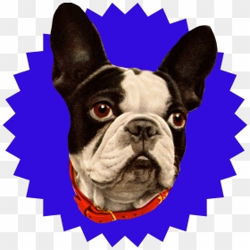 Transparent Dog Head Png - Black Friday Badge Png, Png Download - robot head png