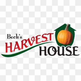 Becks Harvest House Fall Festival Png Fall Festival - Pumpkin, Transparent Png - fall festival png