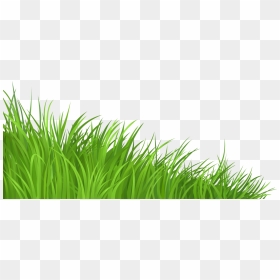Lawn Clip Art - Transparent Background Grass Clipart, HD Png Download - lawn png