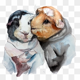 Picture - Guinea Pig, HD Png Download - guinea pig png