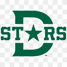 Dallas Stars Winter Classic Logo, HD Png Download - dallas stars logo png