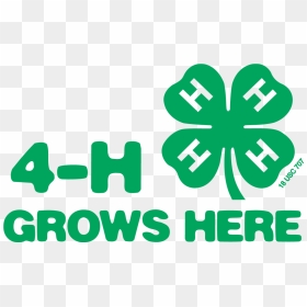 Uga 4h Designs On-line Learning Programs For Pandemic - 4 H Grows Here, HD Png Download - uga logo png