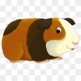 Cartoon Guinea Pigs - Transparent Background Guinea Pig Clipart, HD Png Download - guinea pig png