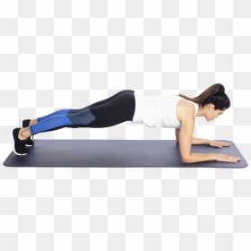 Plank Hold Png - Exercise In Plank Position, Transparent Png - plank png