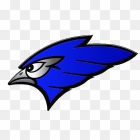 Jamestown High School Mascot, HD Png Download - blue jays logo png