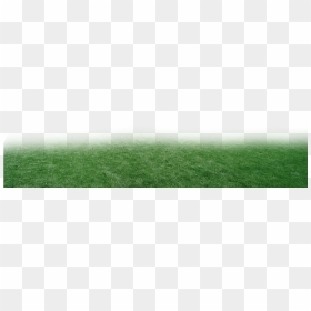 Lawn , Png Download - Lawn, Transparent Png - lawn png