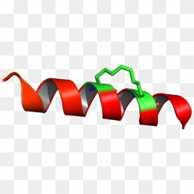 4mzk Stapled Peptide, HD Png Download - staple png