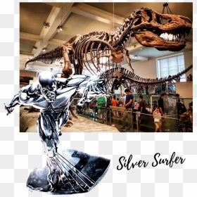 Silver Surfer - Tyrannosaurus, HD Png Download - silver surfer png
