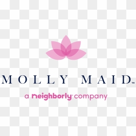 Molly Maid Of Stafford Fredericksburg , Png Download - Molly Maid New Logo, Transparent Png - maid png