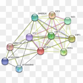 Myb15 Protein - Circle, HD Png Download - bf1 png